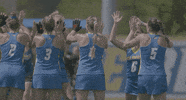 ncaa sports running GIF by Delaware Blue Hens