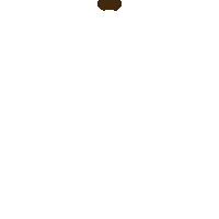Guru Hargobind Sikh Sticker
