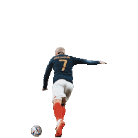 France Football Sticker