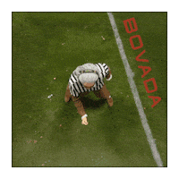 Football Field Heads Sticker by Bovada