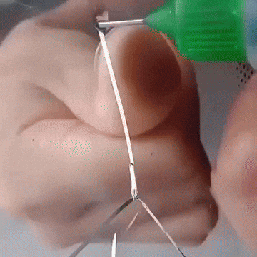 gavi0309 giphyupload GIF