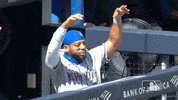 Ny Mets Wave GIF by New York Mets