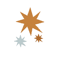Star Fireworks Sticker by Anita Tips