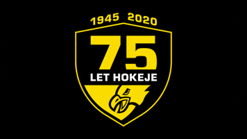 hcsokolov logo hockey chance hokej GIF