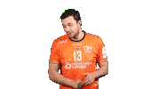 Sport Team Sticker by EHF