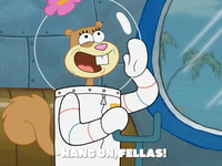 season 8 bubble troubles GIF by SpongeBob SquarePants