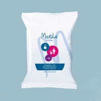 Period Menstruation GIF by Merula