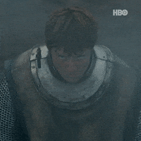 A Knight Of The Seven Kingdoms Dunk GIF by Game of Thrones