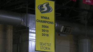 happy lets go GIF by WNBA