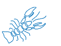 Mediterranean Sea Lobster Sticker by Common Stitch