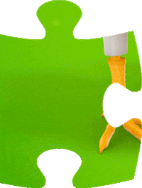 Piezas De Pollo Sticker by Bachoco