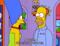 homer simpson episode 13 GIF