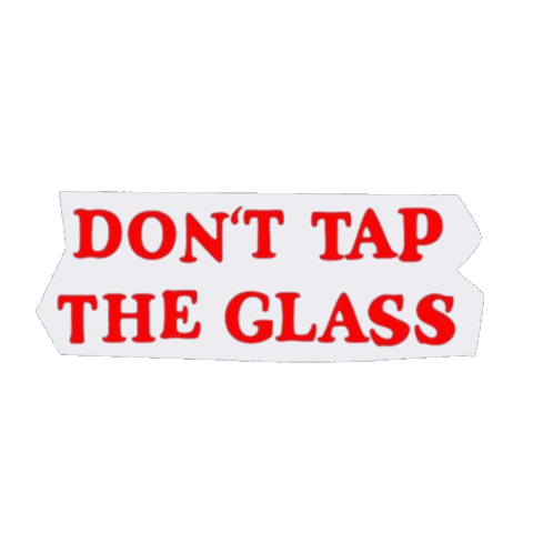 Stop Playing With Me Tyler The Creator Sticker by Mirror