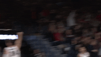 GonzagaBulldogs basketball celebration cheering crowd GIF
