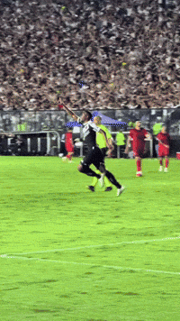 Vasco Da Gama GIF
