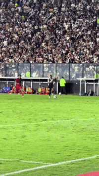 Vasco Da Gama GIF