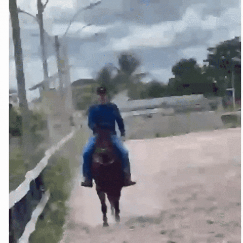 Brunoaraujoficial giphyupload bruno bruno araújo brunoaraújo GIF