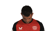 Look Up Bayer Leverkusen Sticker by Bundesliga