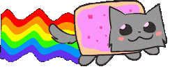 theradboi cat cute nyan cat theradboi Sticker