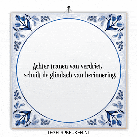 Spreuk Troost GIF by Tegelspreuken.nl