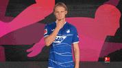 Brooks Hoffenheim GIF by Bundesliga