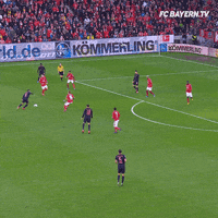 Champions League Football GIF by FC Bayern Munich