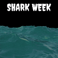 Shark Week GIF