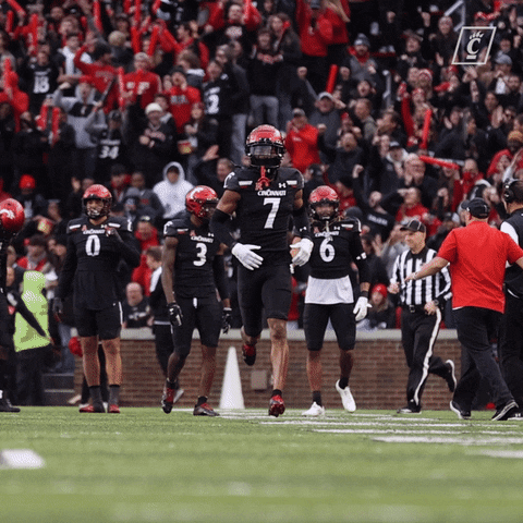 Celebrate University Of Cincinnati GIF by Cincinnati Bearcats
