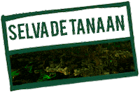 WarcraftLatam wow viaje viagem blizzard Sticker