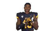 College Football Sticker by Toledo Rockets