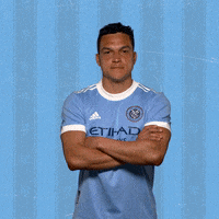 New York City Fc Reaction GIF by NYCFC