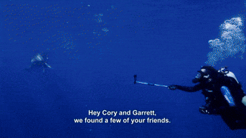 DudePerfect Meets Bull Shark