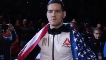 ufc 205 GIF
