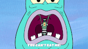 season 9 episode 6 GIF by SpongeBob SquarePants