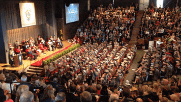 york uni graduation GIF by University of York