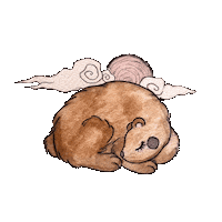 assenavGIF maci erdo assenav Sticker