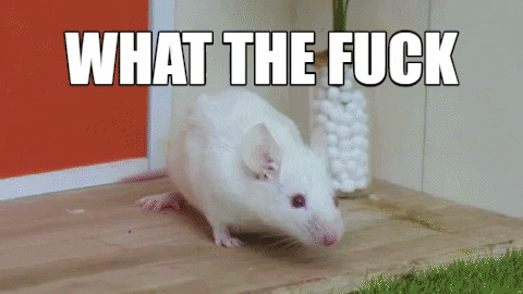 What The Fuck Wtf GIF by CANAL+