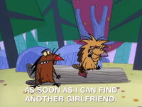 nickrewind nicksplat angry beavers GIF