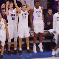 Go Horned Frogs GIF by TCU Athletics