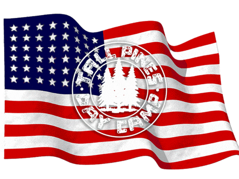 Day Camp Sticker by Tall Pines Day Camp