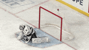 GIF by Ontario Reign