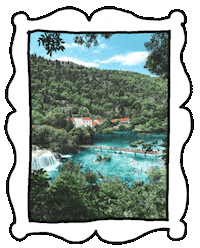 jesssmartsmiley wtf water weird monster GIF