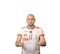 Volleyball Wow Sticker by Trefl Gdańsk