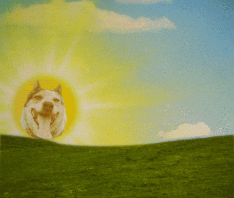 Good Morning Beautiful GIF by GIPHY Studios 2022