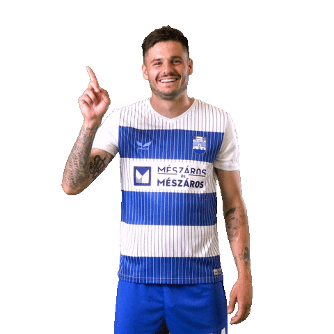 Football Soccer Sticker by NK Osijek