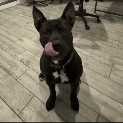 Hungry Love It GIF