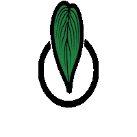Plantlover Houseplants Sticker by pflanzenkarte