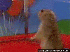 suprised GIF