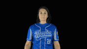 Italian GIF by FIBS - Federazione Italiana Baseball Softball