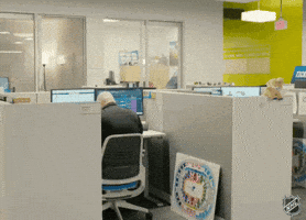 St Louis Blues Smile GIF by NHL